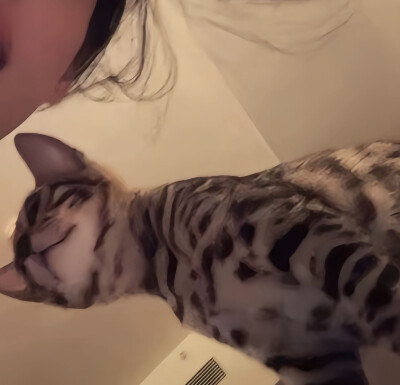 ˖⁩ ♡︎