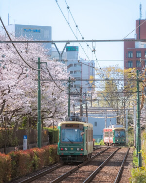 日系壁纸
摄影师：pillter