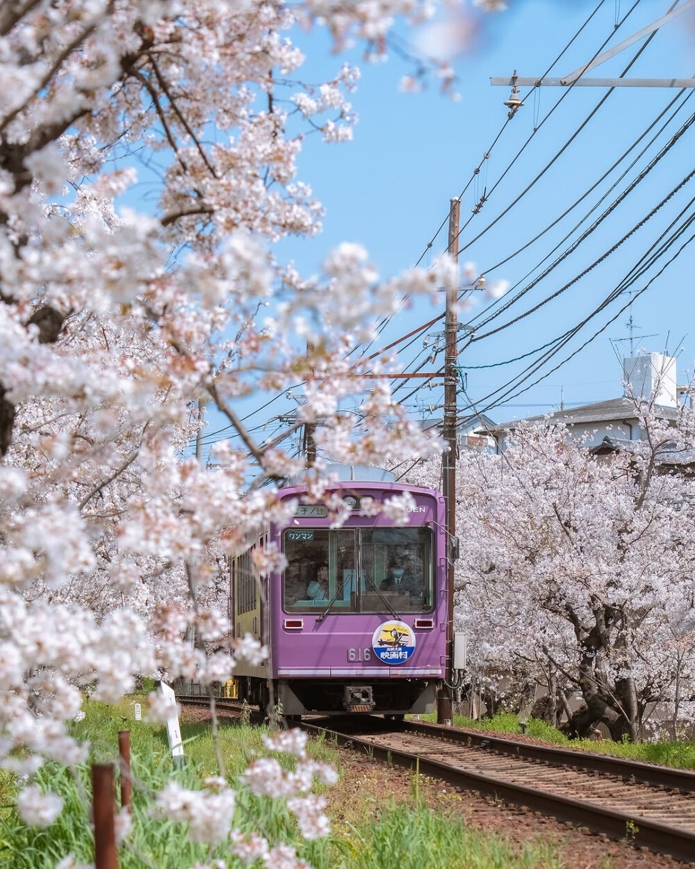 日系壁纸
摄影师：pillter