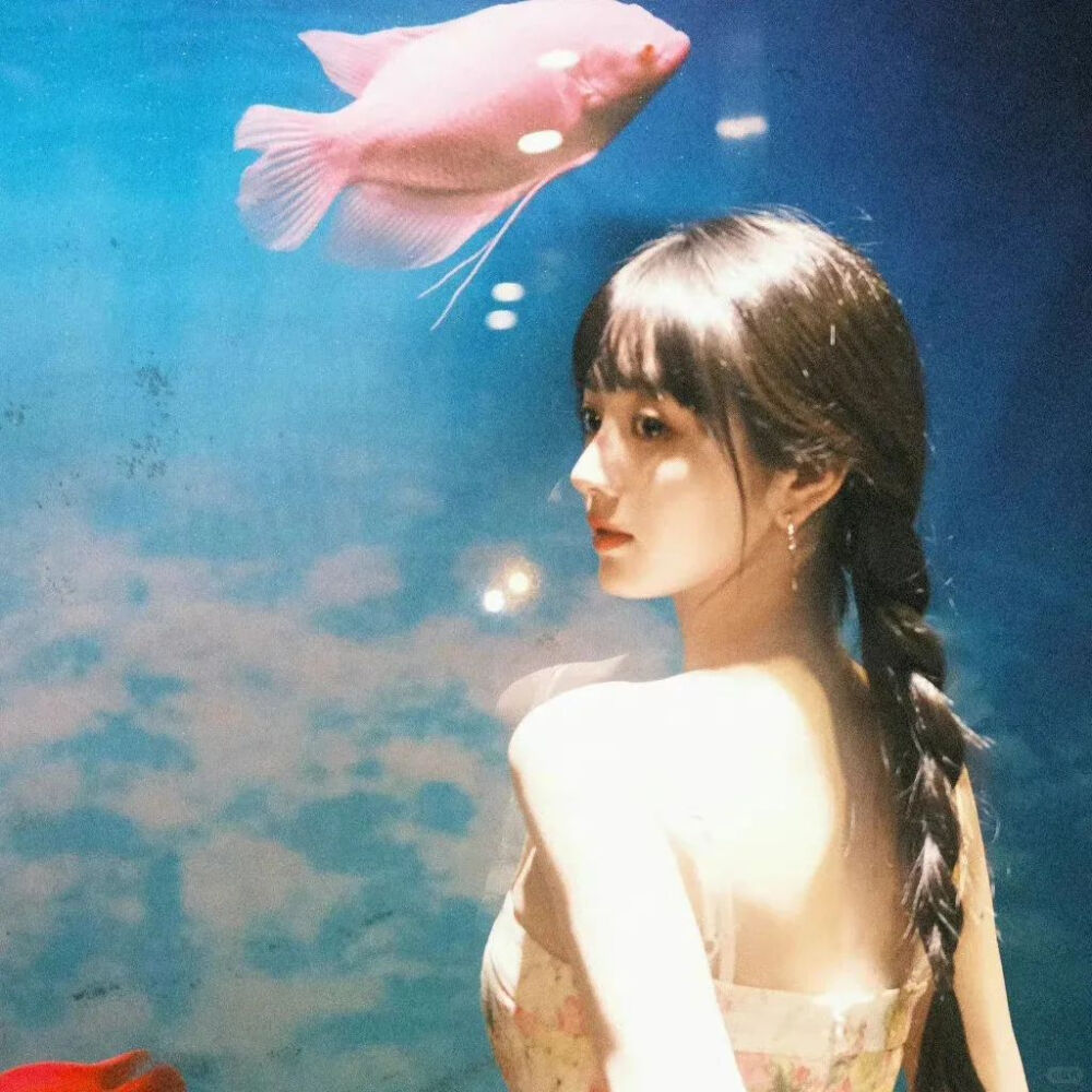 明星