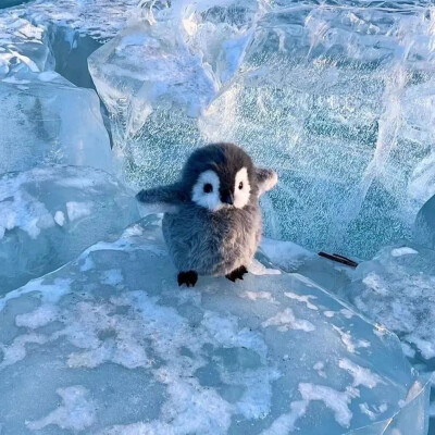 蓝色系背景图