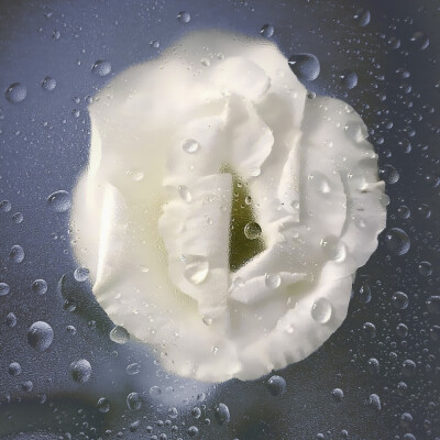 又是一年寻雨季