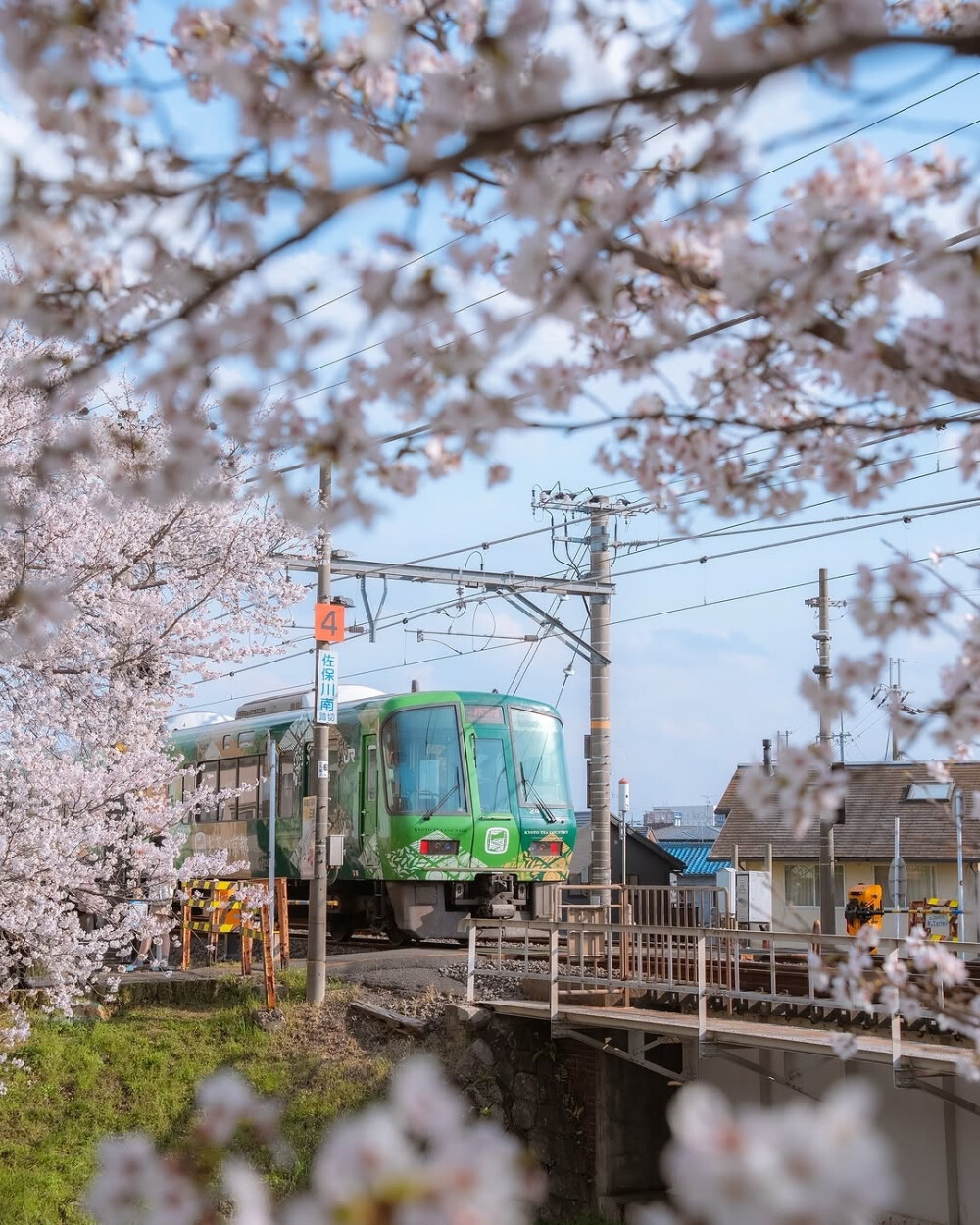 日系壁纸
摄影师：pillter