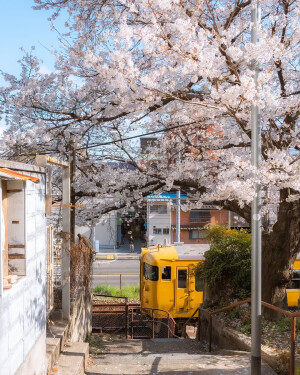 日系壁纸
摄影师：pillter