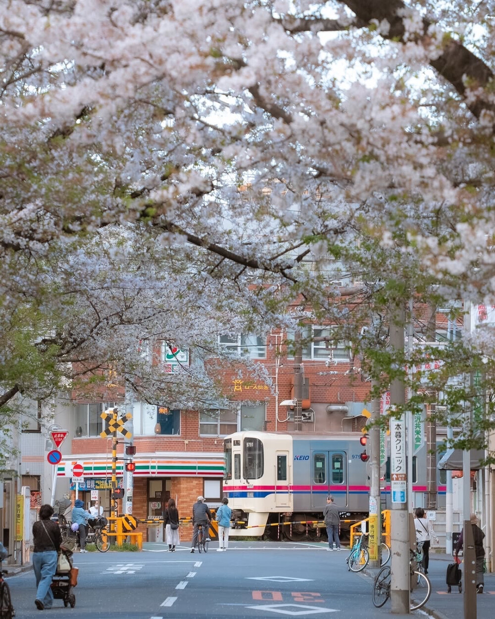 日系壁纸
摄影师：pillter