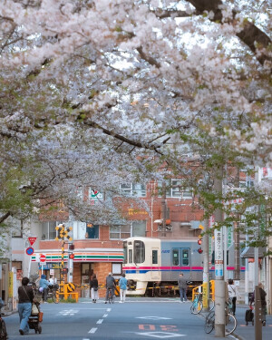 日系壁纸
摄影师：pillter