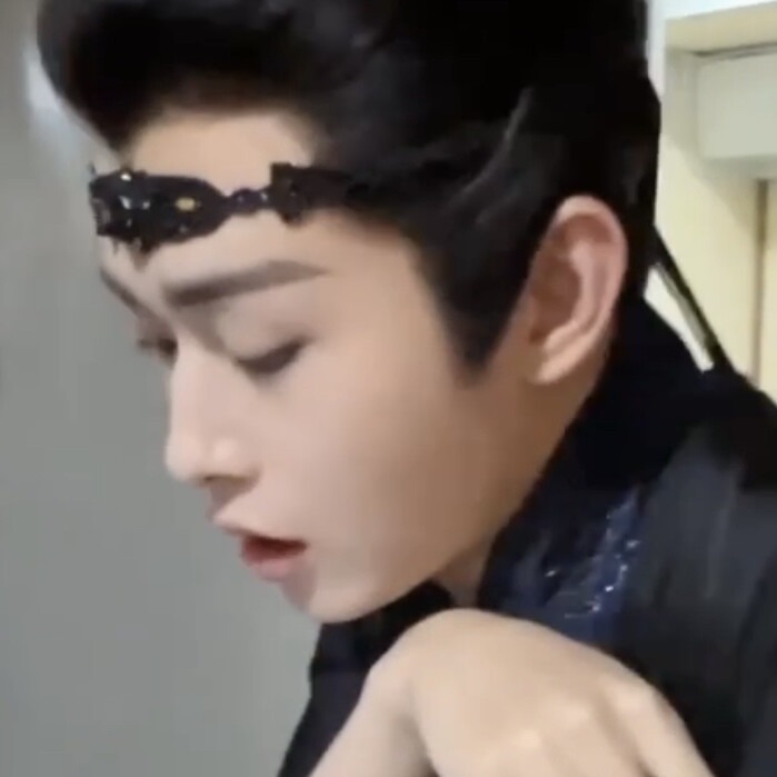 我在想一只布偶猫