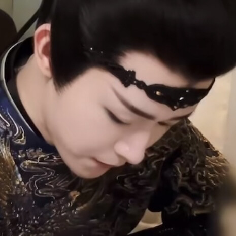 我在想一只布偶猫