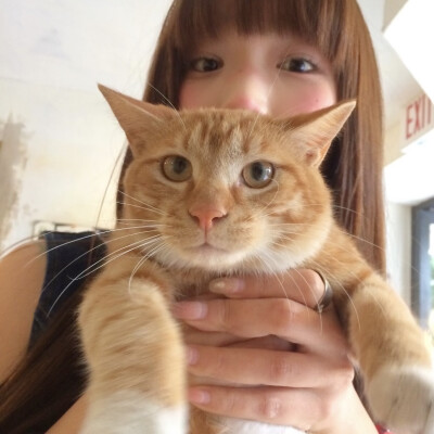 女生头像