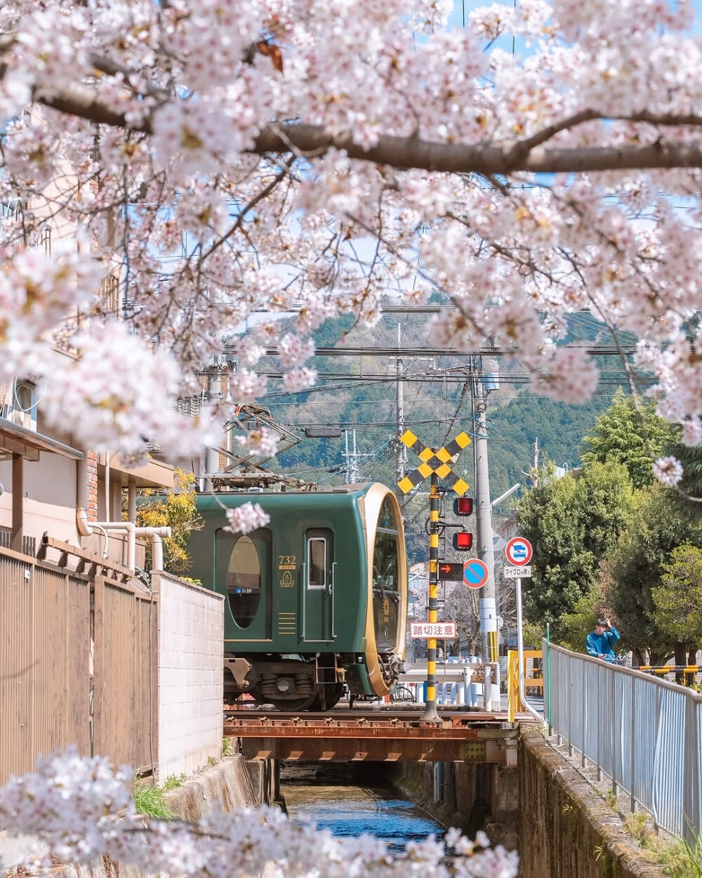 日系壁纸
摄影师：pillter