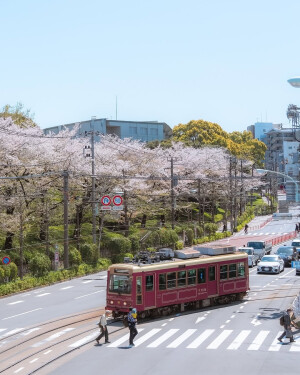 日系壁纸
摄影师：pillter