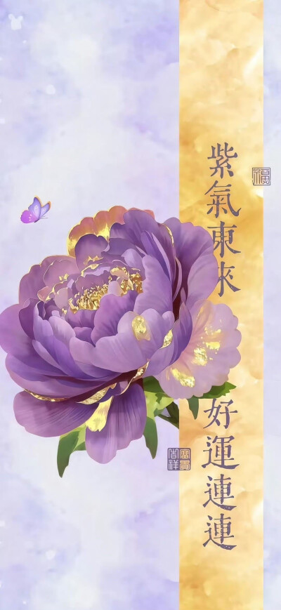 壁纸