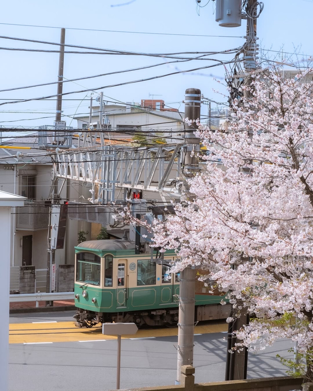 日系壁纸
摄影师：pillter