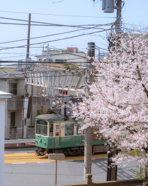 日系壁纸
摄影师：pillter