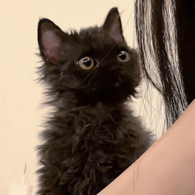 ˖⁩ ♡︎