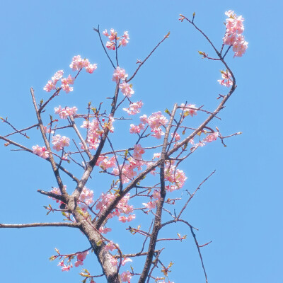 縁結び