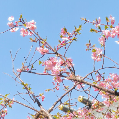 縁結び