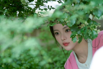 杨超越