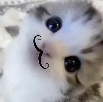 萌