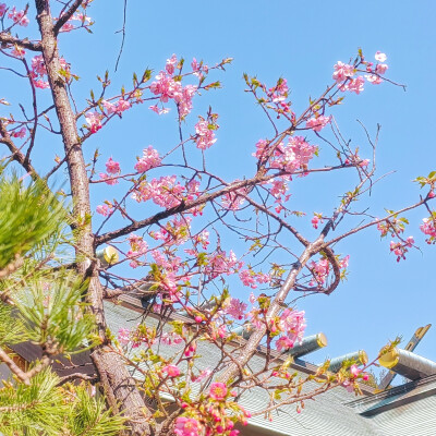 縁結び