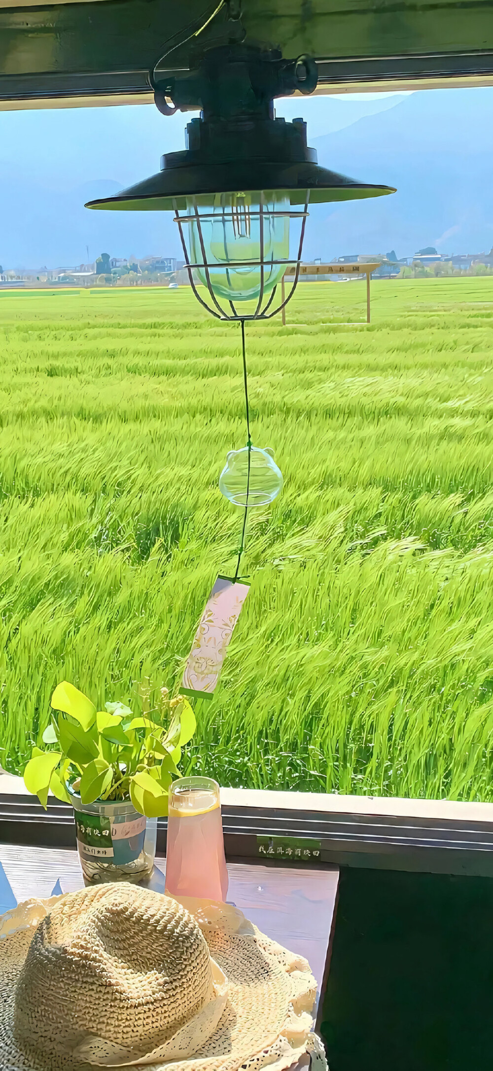 好久不见