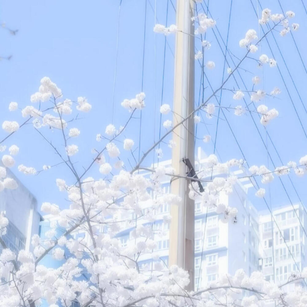 我说你的坚强我来陪伴