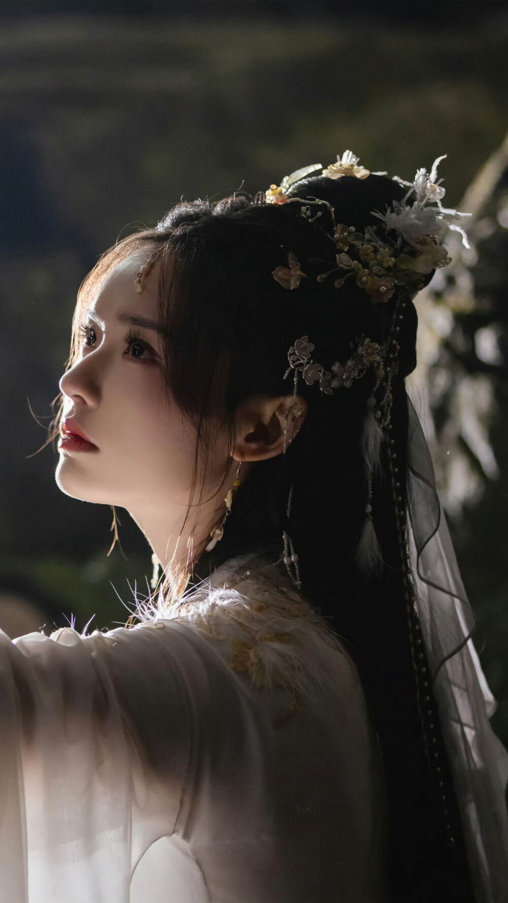 水龙吟 阿谁 林允