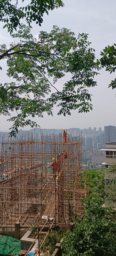 是日
度梦
梦中也没有交集了
但更确定的是
是独一份的
心动的感觉
再没有人有这种感觉
#春秋 #失乐园 #遥吻