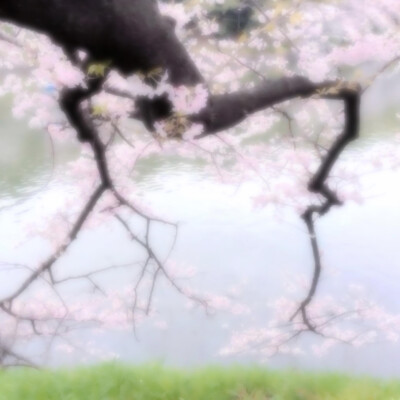 背景