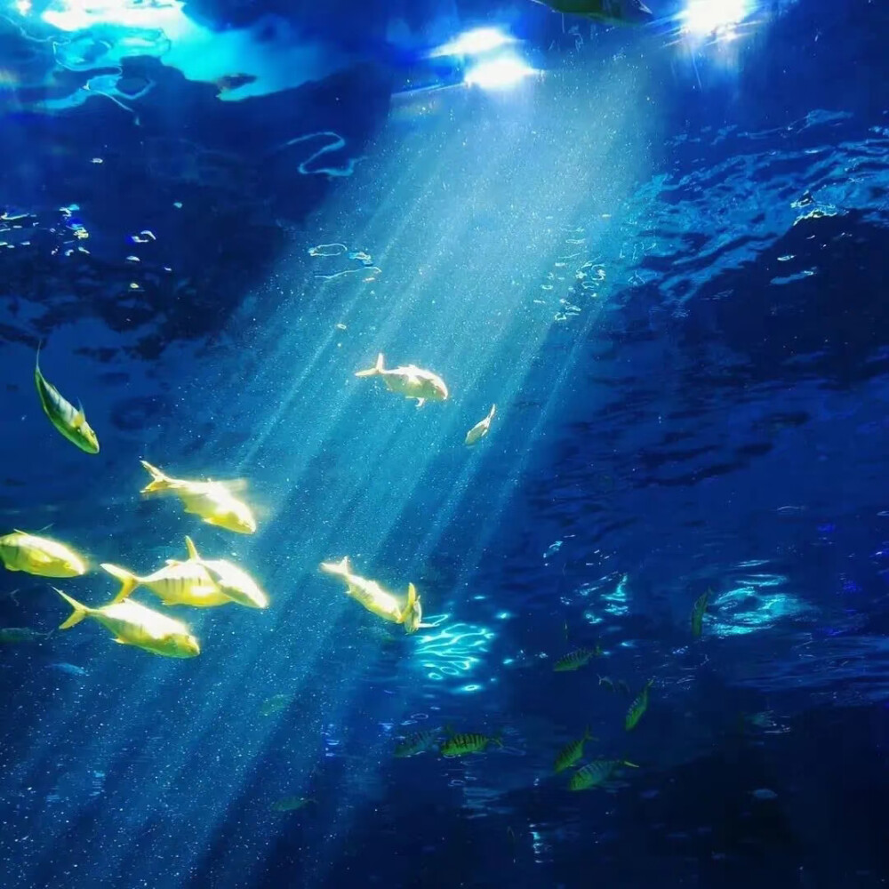 超有氛围感的背景图