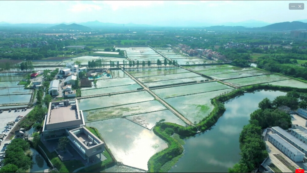 后陡门58号的田