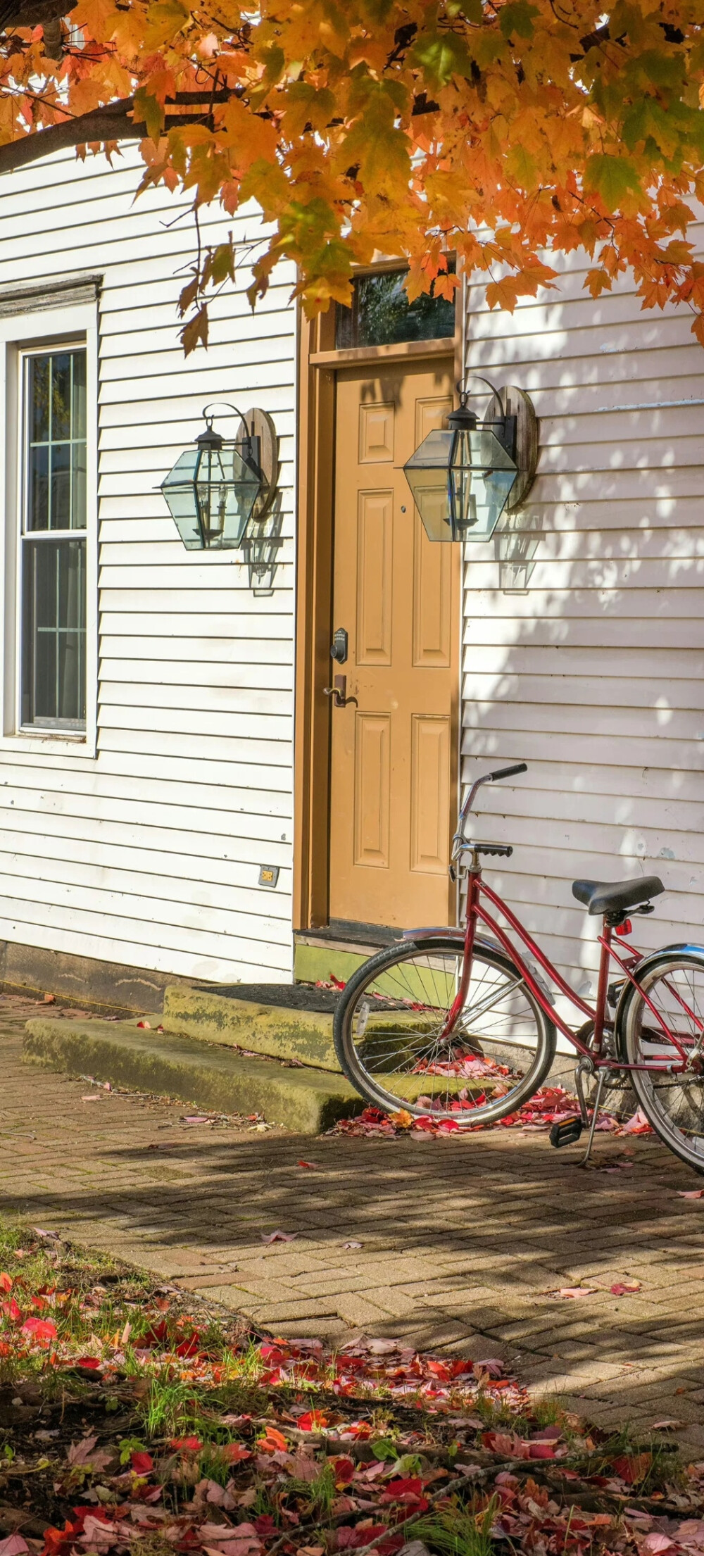 秋天系全屏壁纸