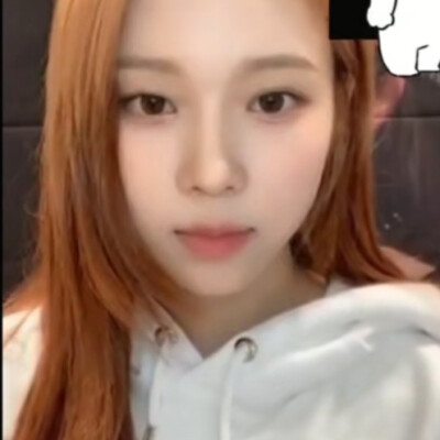 收藏单图才能拿