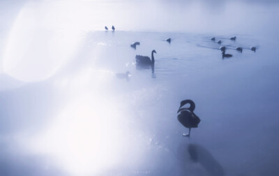 ♡...蔚来彼海Chant de poisson“お誕生日おめでとう”