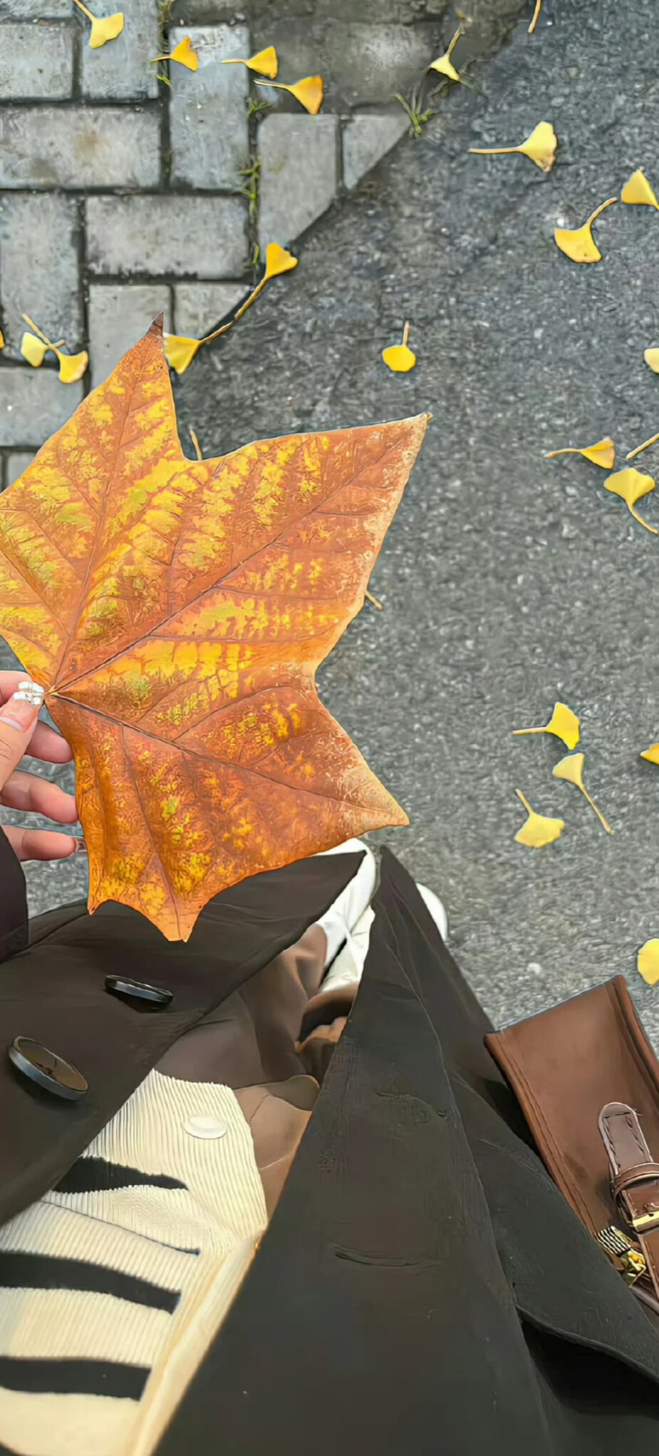 秋天系全屏壁纸