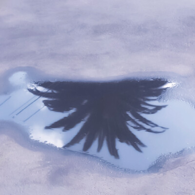 ♡...蔚来彼海Chant de poisson“お誕生日おめでとう”