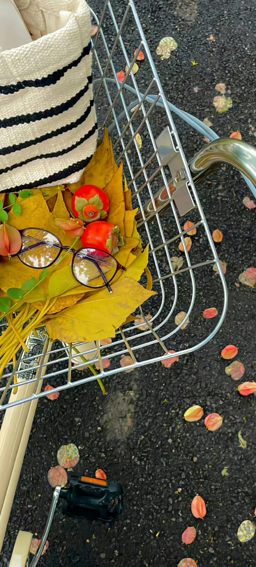 秋天系全屏壁纸