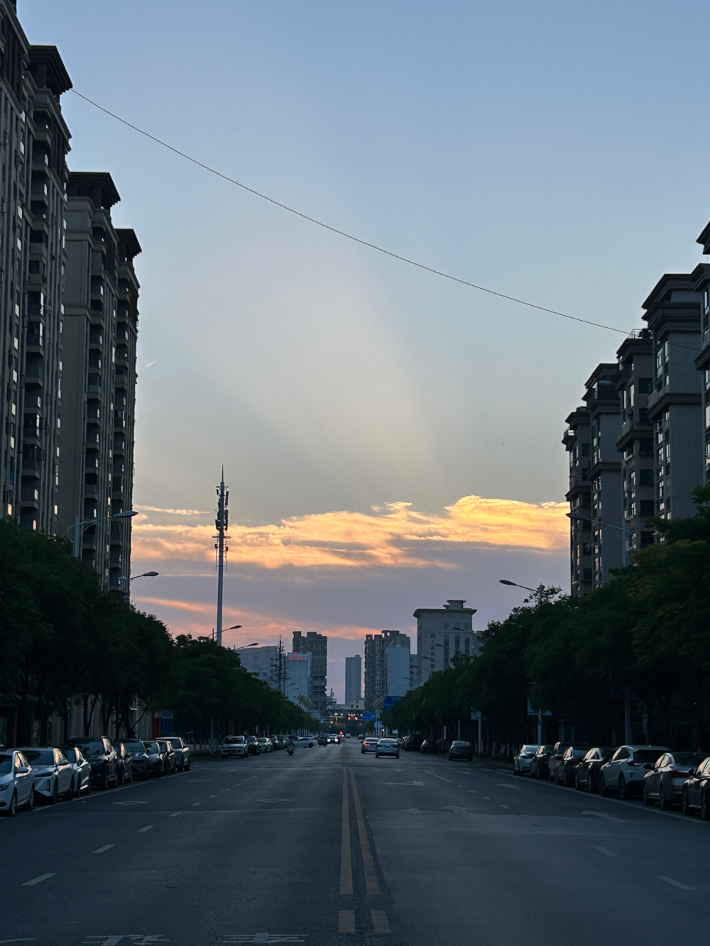 最近的生活