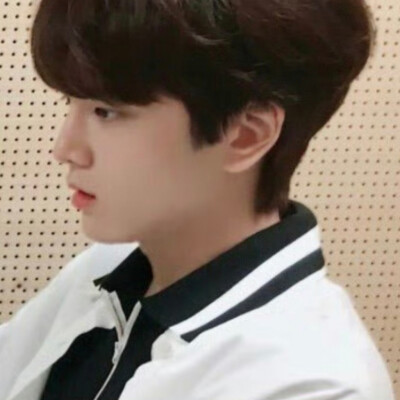 宝宝狗