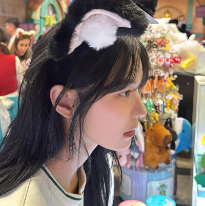 白知宪