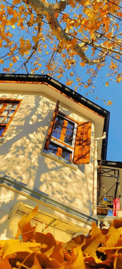 秋天系全屏壁纸