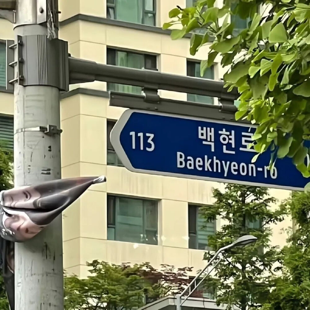 菠萝