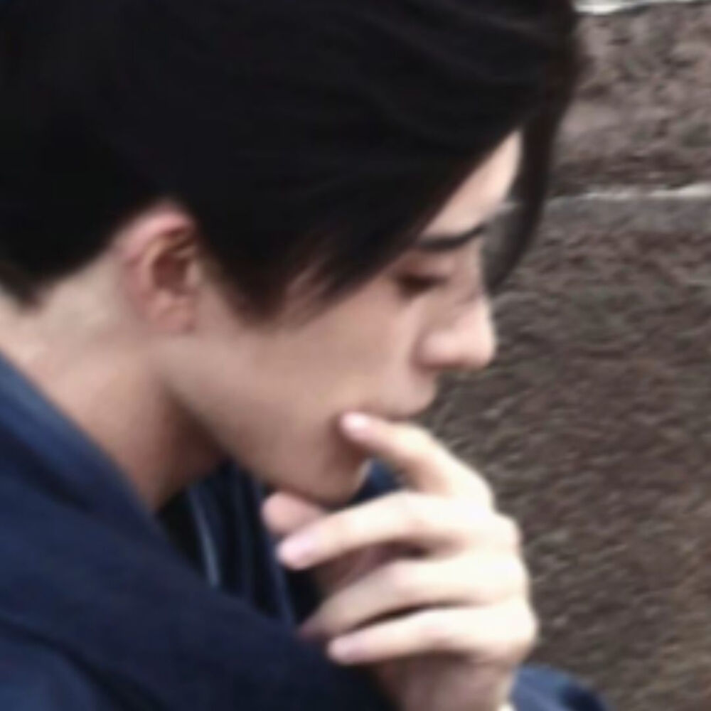 揽月