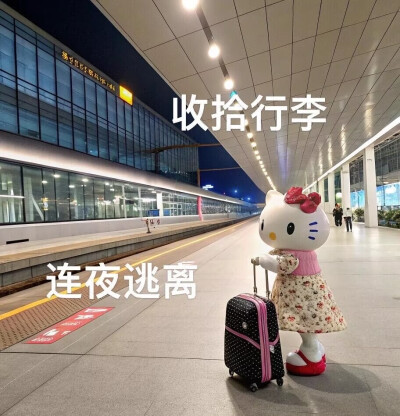 #HelloKitty表情包
#放假喵
