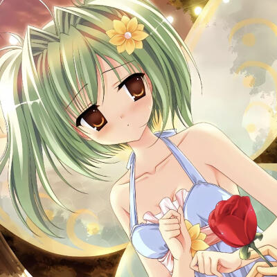 dt真夜中莉莉娜