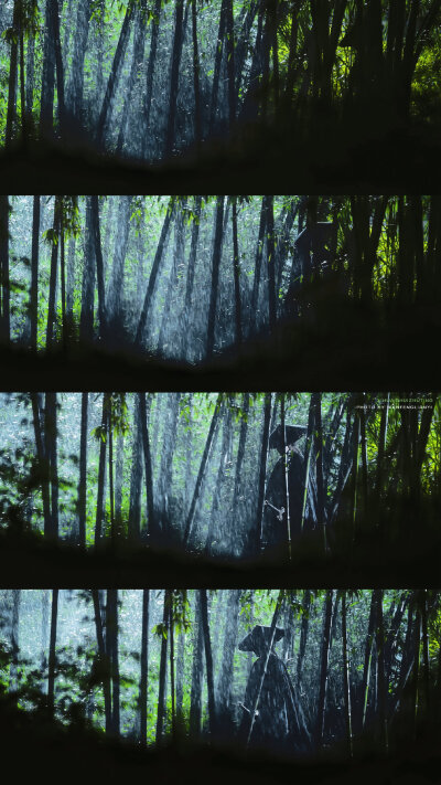 丁禹兮·张正 阿那然 淮水竹亭