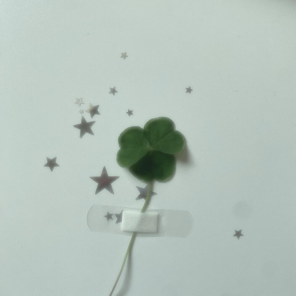 四叶草 幸运核