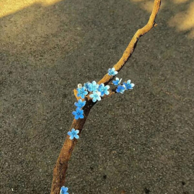 淡色系背景图