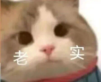 表情包