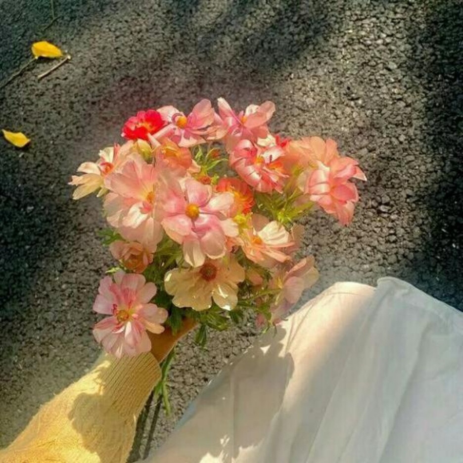 风景花朵背景图